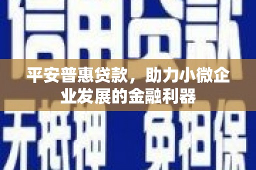 宁海平安普惠贷款，助力小微企业发展的金融利器