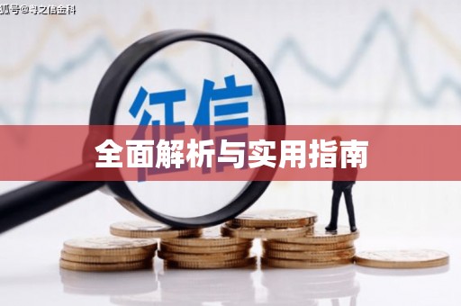 仑背全面解析与实用指南