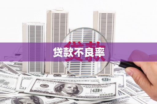 洋县贷款不良率
